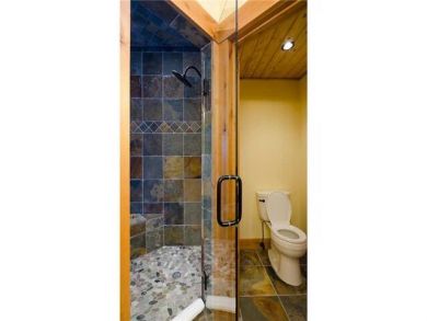 Steamboat Springs Home 927375