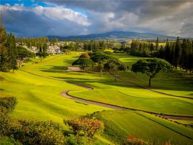 Kapalua Luxury Vacation Condo Sleeps 4 Guests Ocean Views