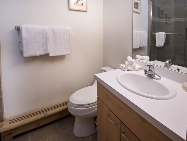 Vail Three Bedroom Mountain View Condo with Private Hot Tub