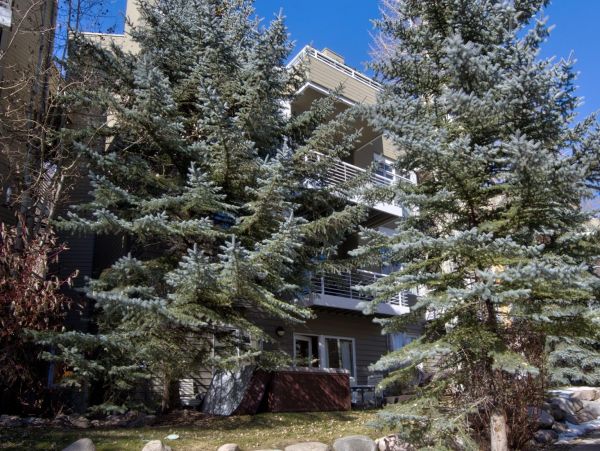 Vail Three Bedroom Mountain View Condo with Private Hot Tub