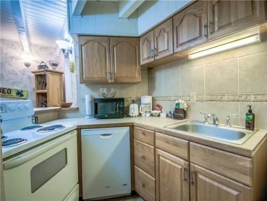 Steamboat Springs Home 927449