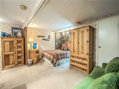Steamboat Springs Home 927449