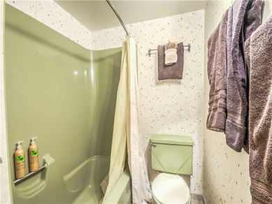 Steamboat Springs Home 927449