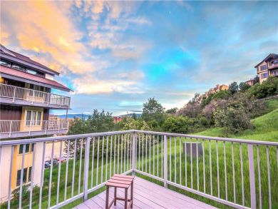 Steamboat Springs Home 927449