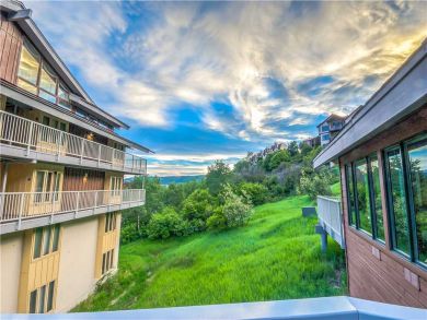 Steamboat Springs Home 927449