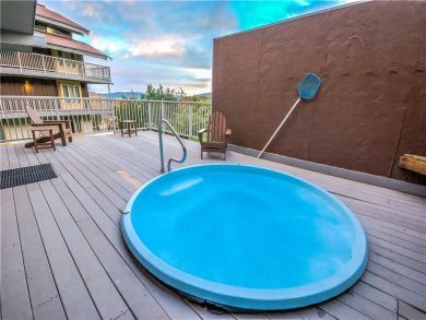 Steamboat Springs Home 927449