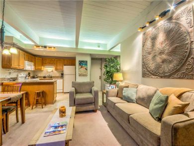 Steamboat Springs Home 927450