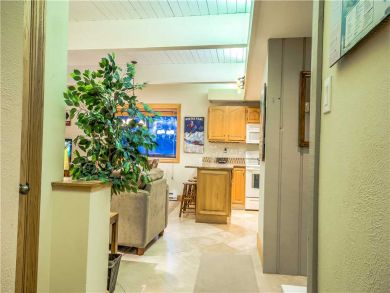 Steamboat Springs Home 927450