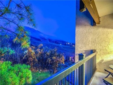 Steamboat Springs Home 927450