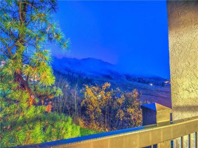 Steamboat Springs Home 927450
