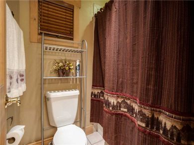 Steamboat Springs Home 927451 Steamboat Springs Home 927451