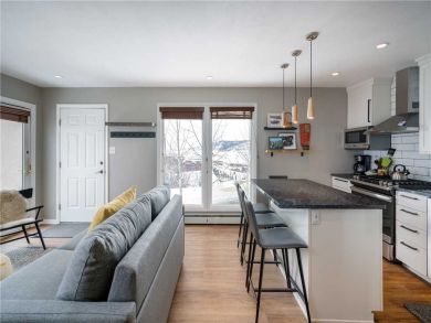 Steamboat Springs Home 927452