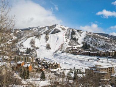Steamboat Springs Home 927452