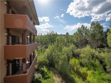 Steamboat Springs Home 927454 Steamboat Springs Home 927454