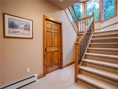 Steamboat Springs Home 927457