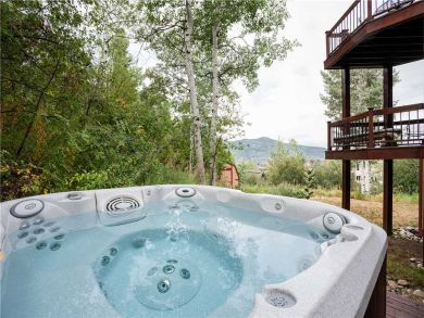 Steamboat Springs Home 927457