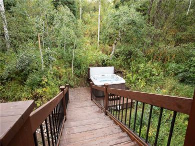 Steamboat Springs Home 927457