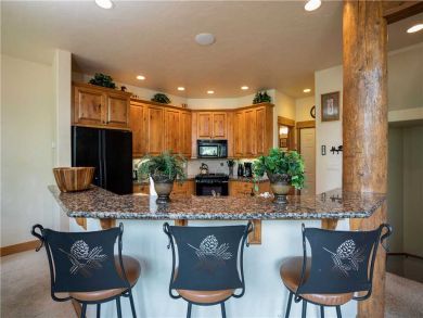 Steamboat Springs Home 927460