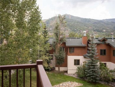 Steamboat Springs Home 927460