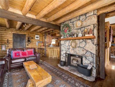 Steamboat Springs Home 927465