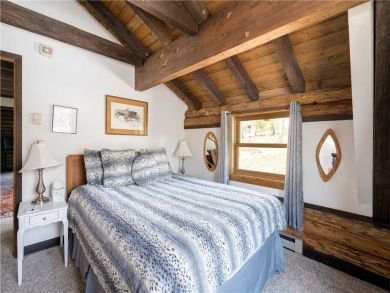Steamboat Springs Home 927465