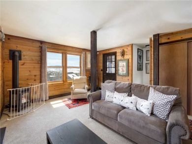 Steamboat Springs Home 927465
