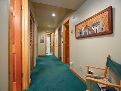 Steamboat Springs Home 927466