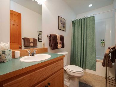 Steamboat Springs Home 927466