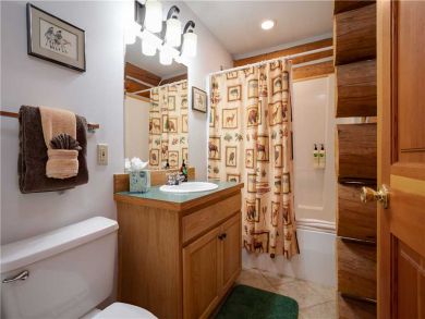 Steamboat Springs Home 927466