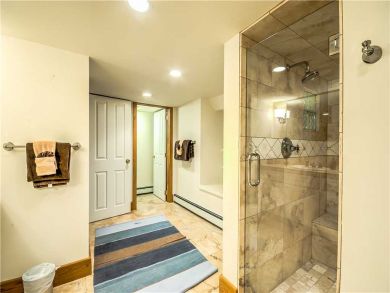Steamboat Springs Home 927467