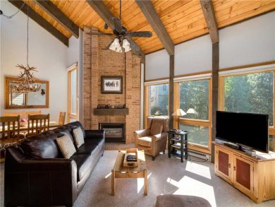 Steamboat Springs Home 927469