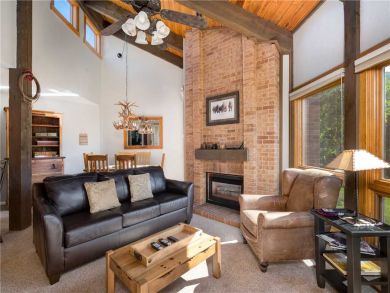 Steamboat Springs Home 927469