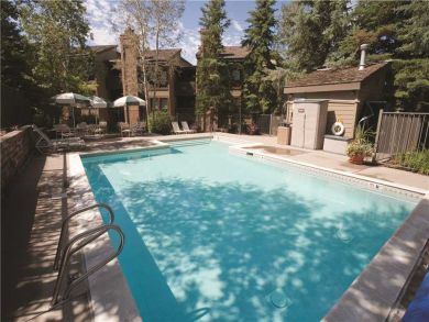 Steamboat Springs Home 927469