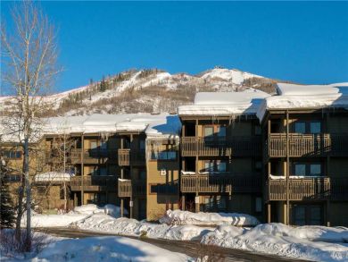 Steamboat Springs Home 927469