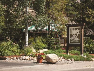 Steamboat Springs Home 927469