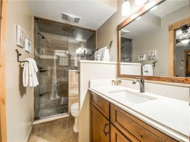 Steamboat Springs Home 927470 Steamboat Springs Home 927470