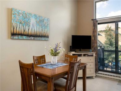 Steamboat Springs Home 927472