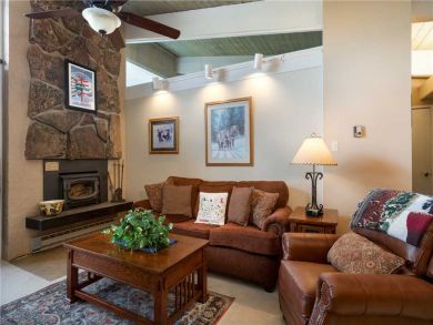 Steamboat Springs Home 927472