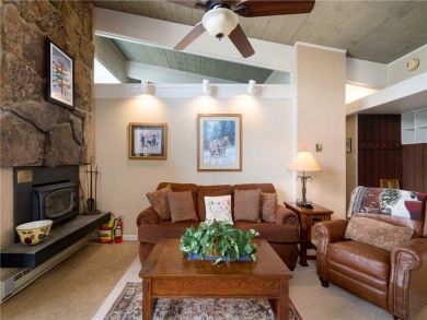 Steamboat Springs Home 927472