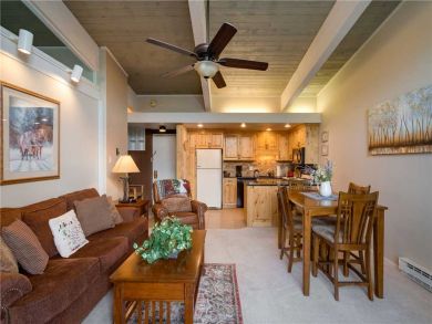 Steamboat Springs Home 927472
