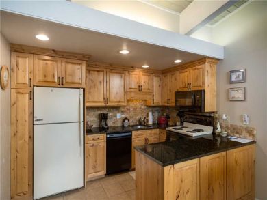Steamboat Springs Home 927472