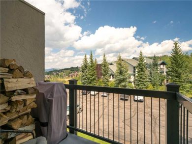 Steamboat Springs Home 927472
