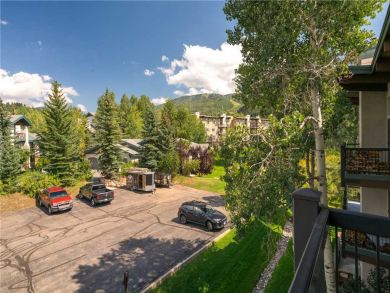 Steamboat Springs Home 927472