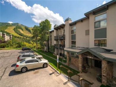 Steamboat Springs Home 927472