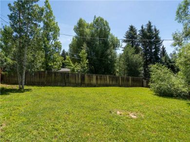 Steamboat Springs Home 927473