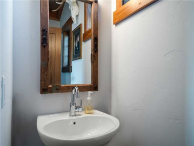 Steamboat Springs Home 927476