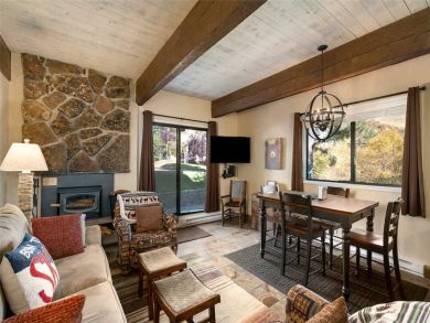 Steamboat Springs Home 927478