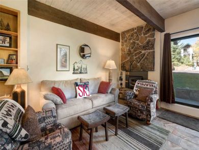 Steamboat Springs Home 927478