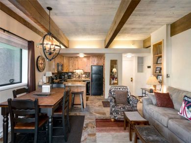 Steamboat Springs Home 927478