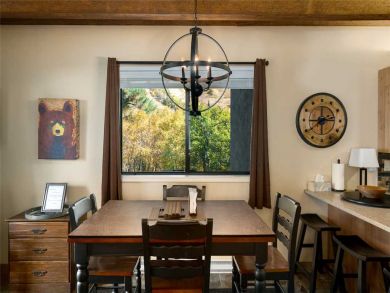 Steamboat Springs Home 927478